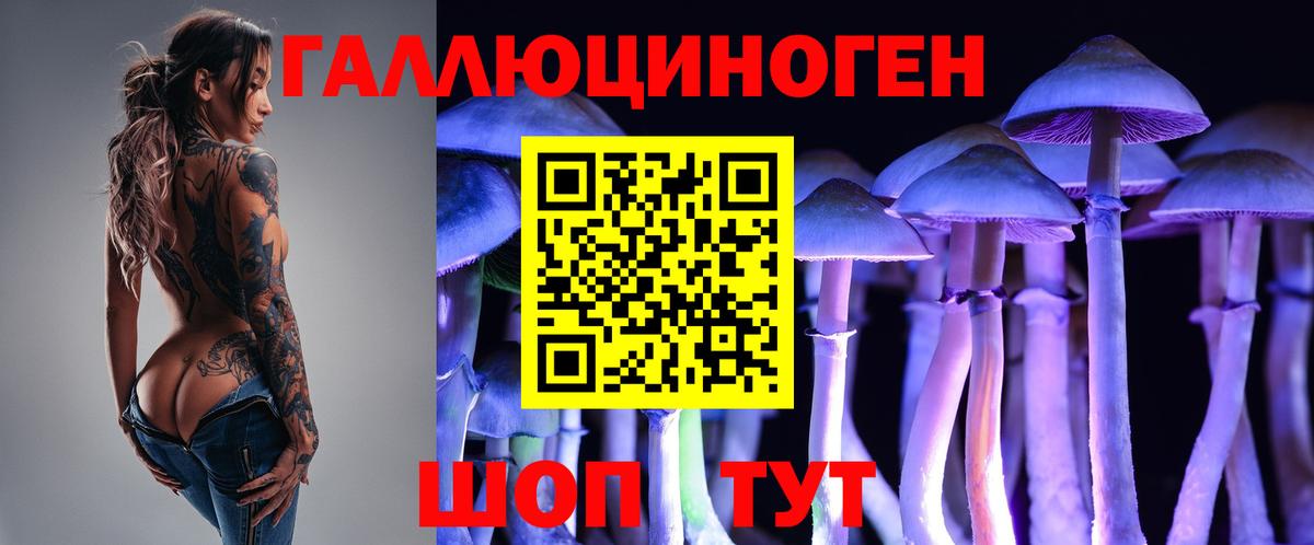 Камышин  Псилоцибиновые грибы мухоморы  Вход с VPN 